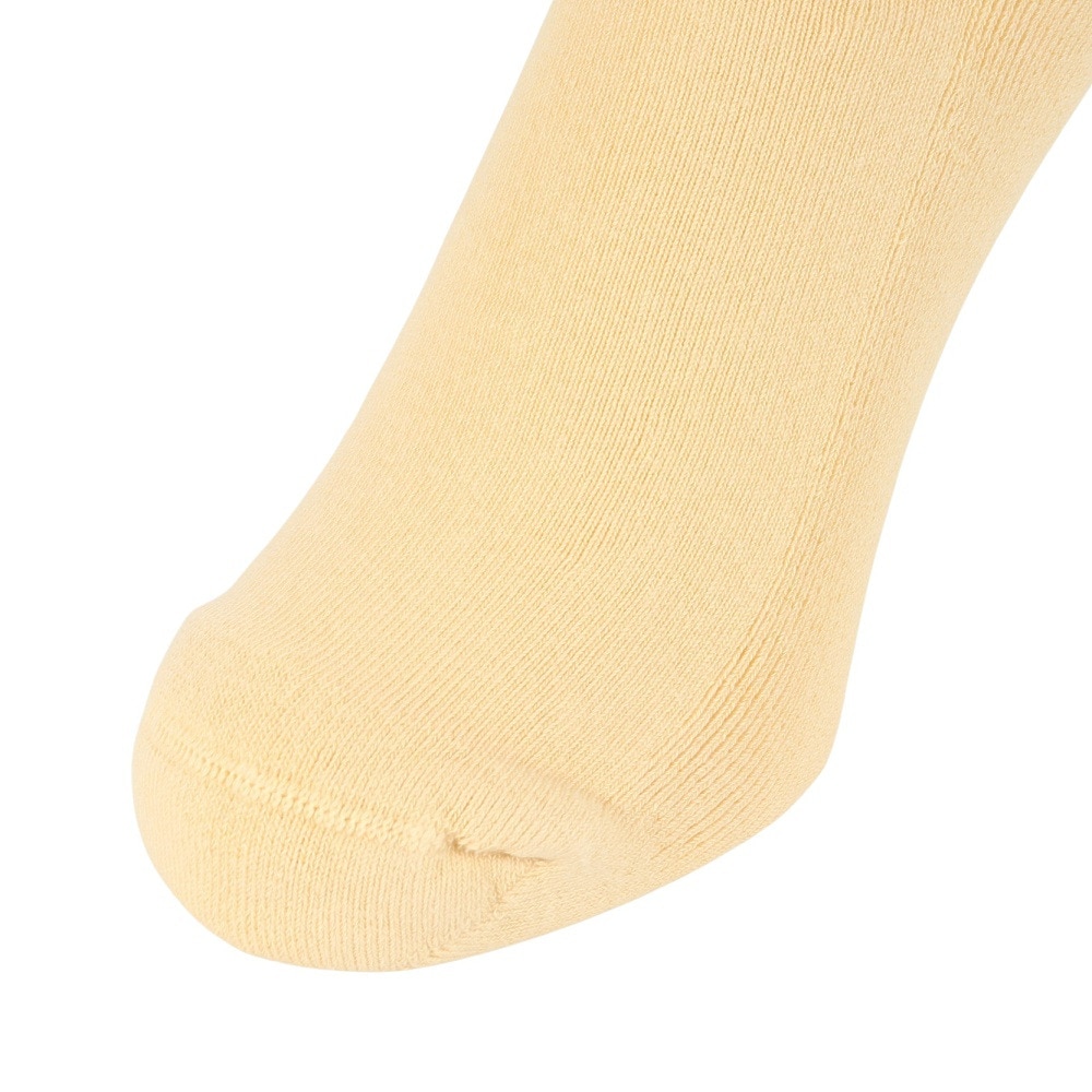 カーハート（CARHARTT）（メンズ、レディース）チェイスソックス I0294211NSXX23SS