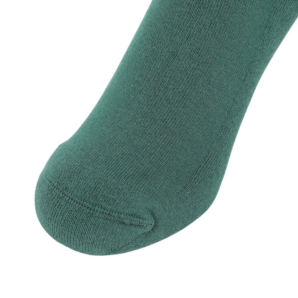 カーハート（CARHARTT）（メンズ）ソックス I02942200QXX23SS