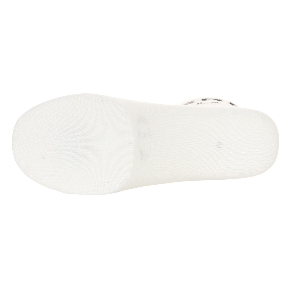 フレッドペリー（FRED PERRY）（レディース）BOLD TIPPED ソックス 1足組 C6146-129 23AW