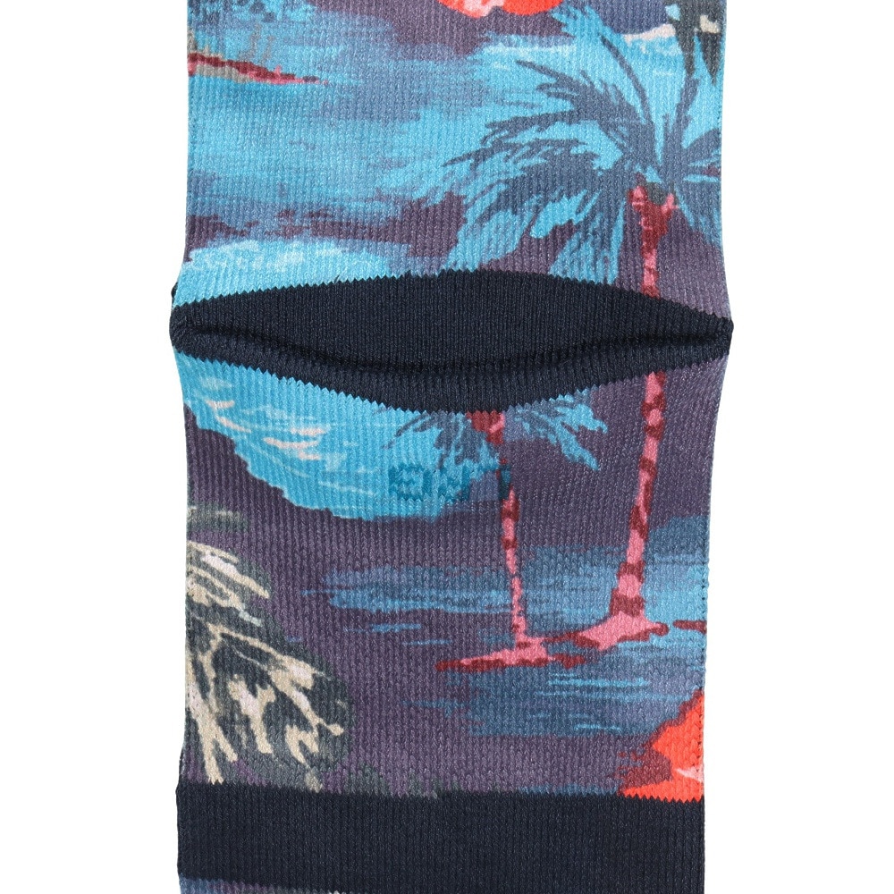 スタンス（STANCE）（メンズ）OG COCOPALMS ソックス A555D23OGC TEA