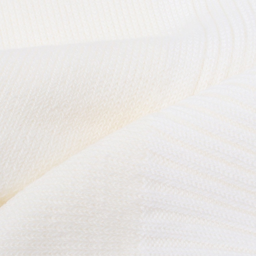 ヘルスニット（Healthknit）（メンズ）リブパイル 1足組 ソックス 191-8004-01