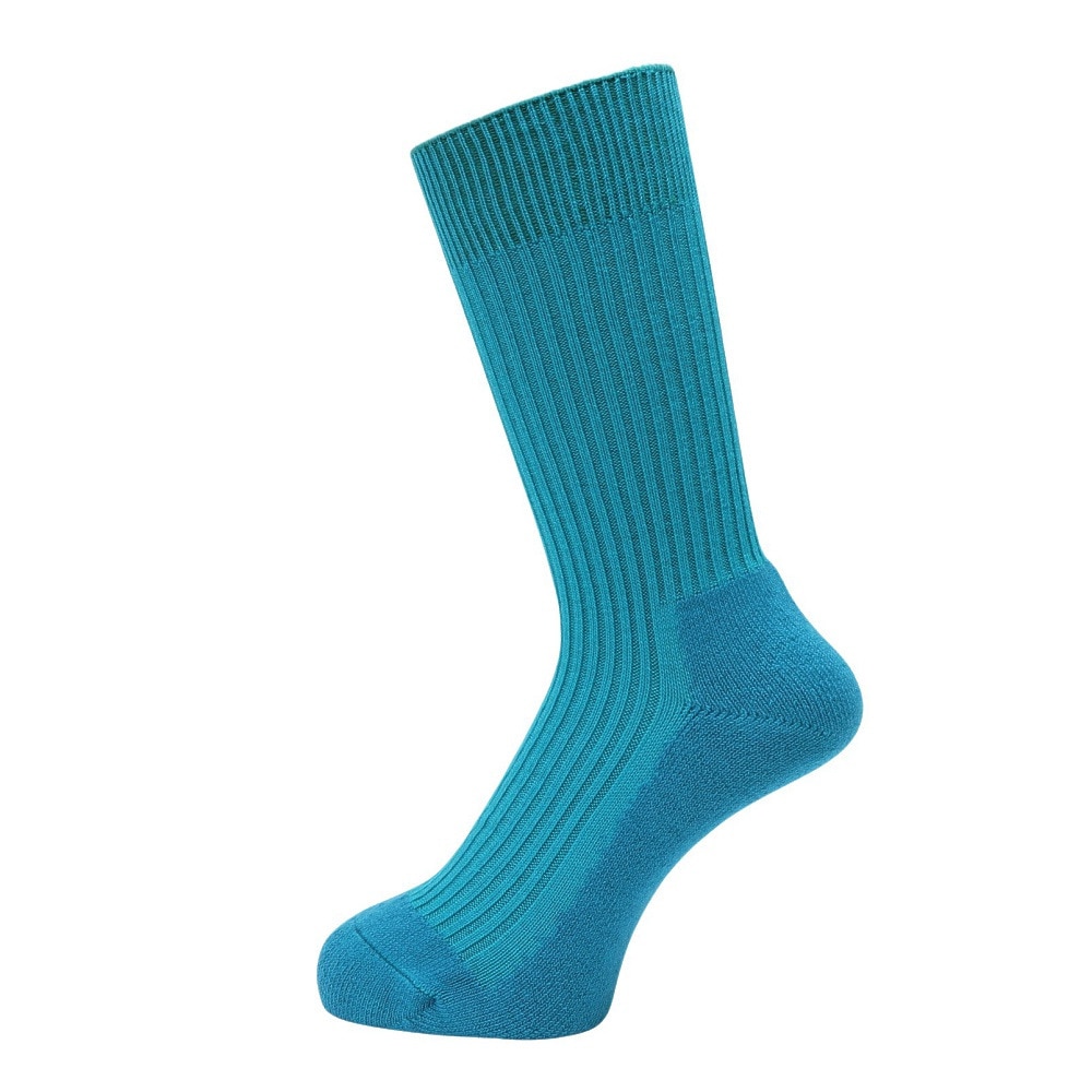 ヘルスニット（Healthknit）（メンズ）リブパイル ソックス 1足組 191-8004-31