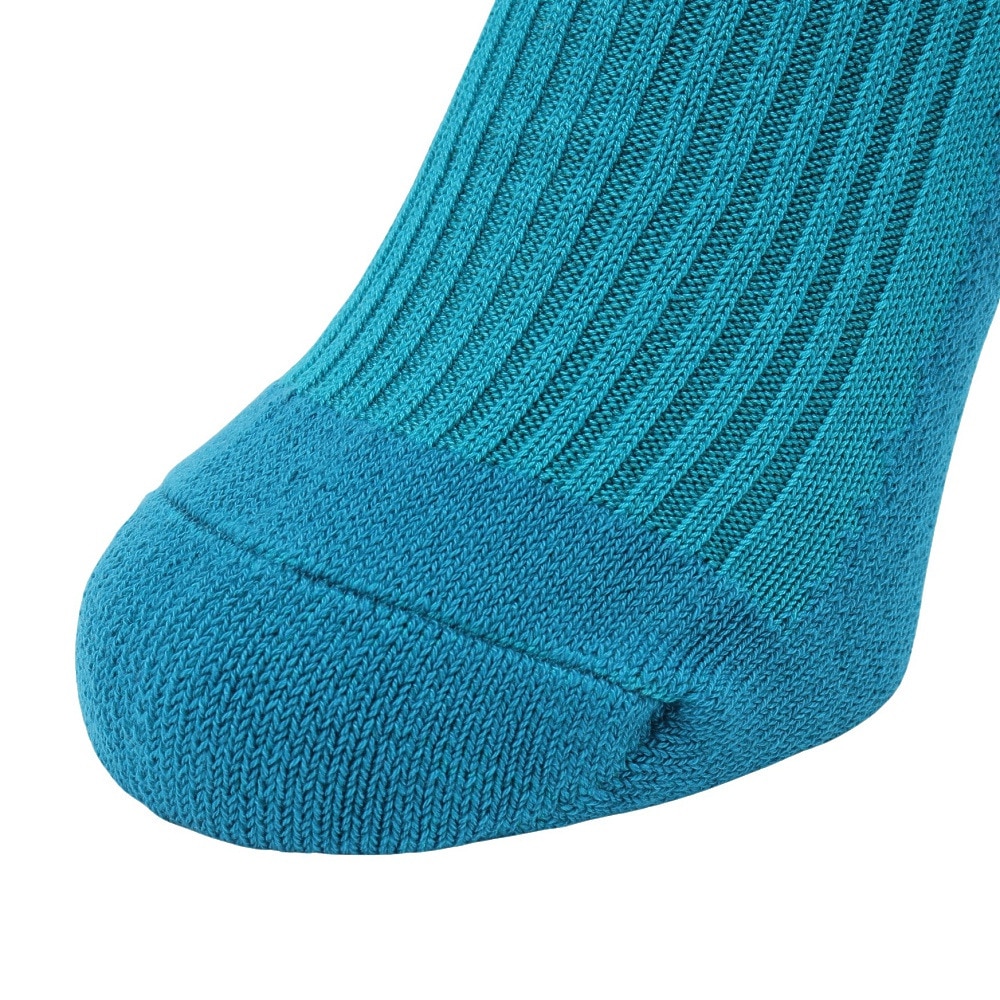 ヘルスニット（Healthknit）（メンズ）リブパイル ソックス 1足組 191-8004-31