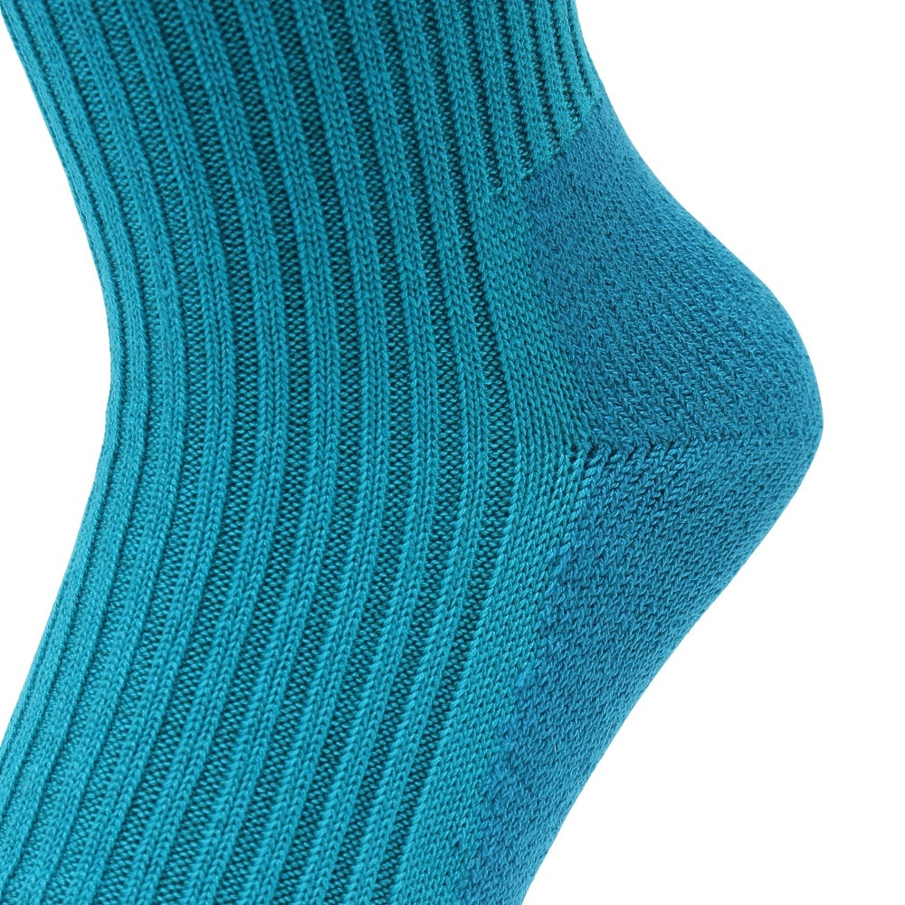 ヘルスニット（Healthknit）（メンズ）リブパイル ソックス 1足組 191-8004-31