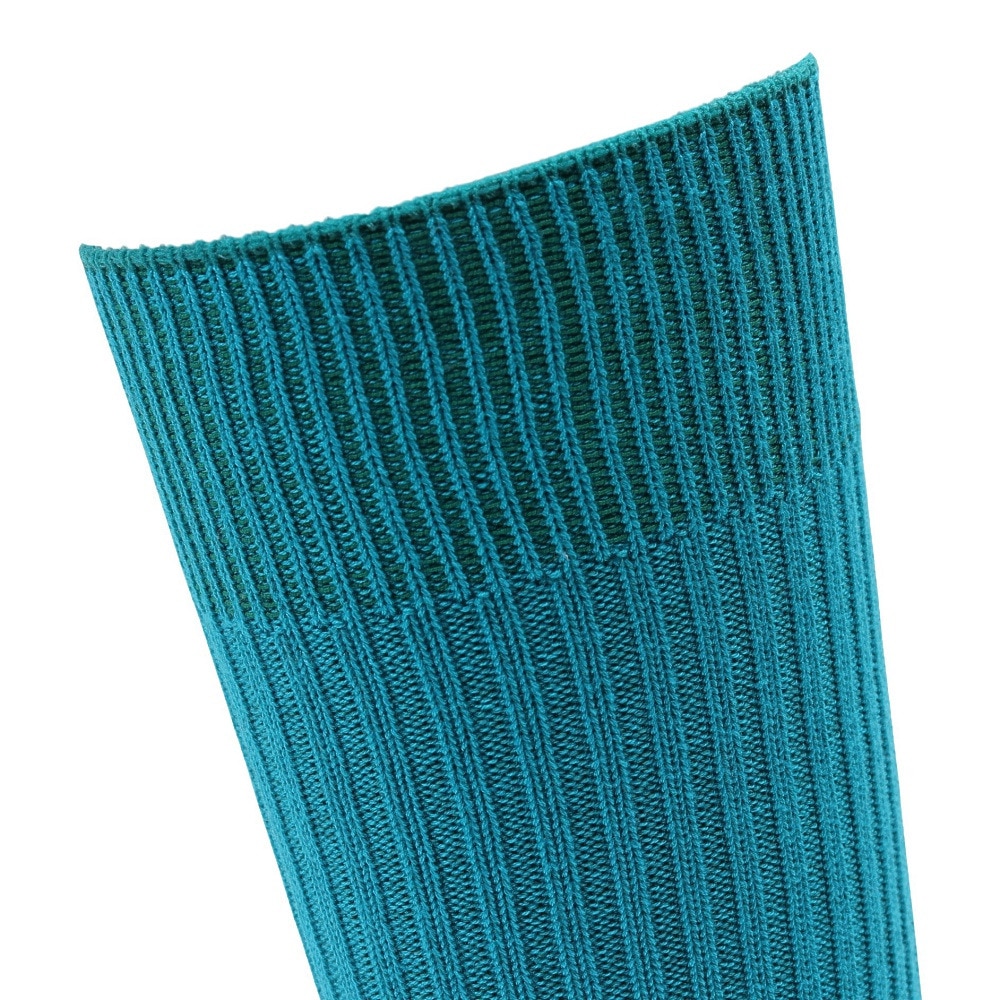 ヘルスニット（Healthknit）（メンズ）リブパイル ソックス 1足組 191-8004-31