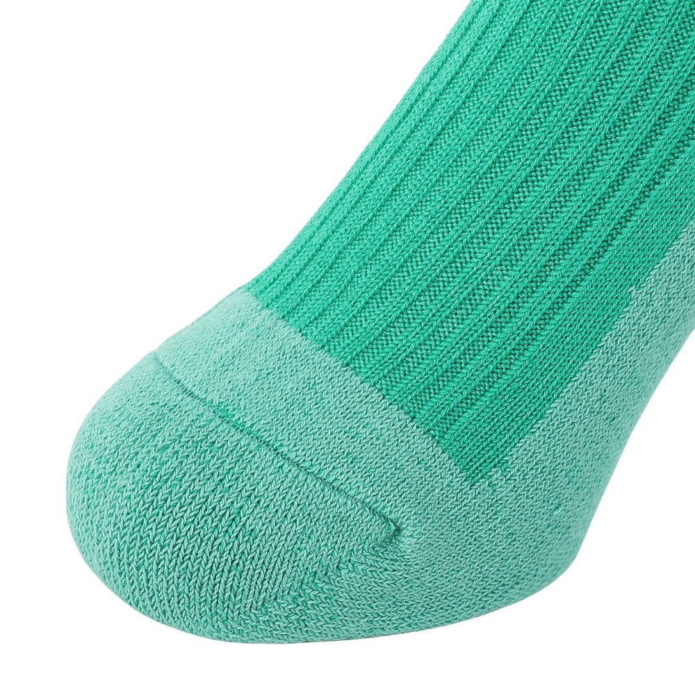 ヘルスニット（Healthknit）（メンズ）リブパイル ソックス 191-8004-32