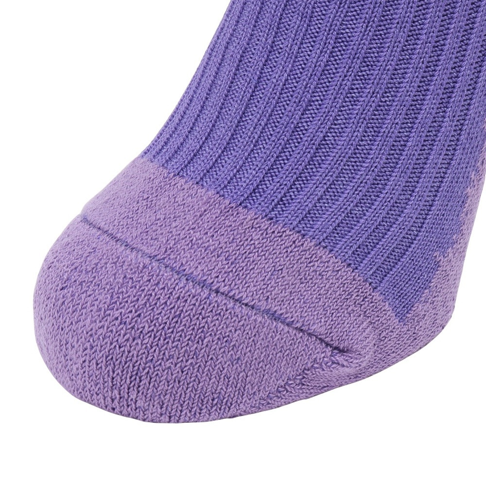 ヘルスニット（Healthknit）（メンズ）リブパイル ソックス 1足組 191-8004-50