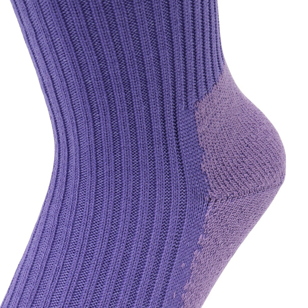 ヘルスニット（Healthknit）（メンズ）リブパイル ソックス 1足組 191-8004-50