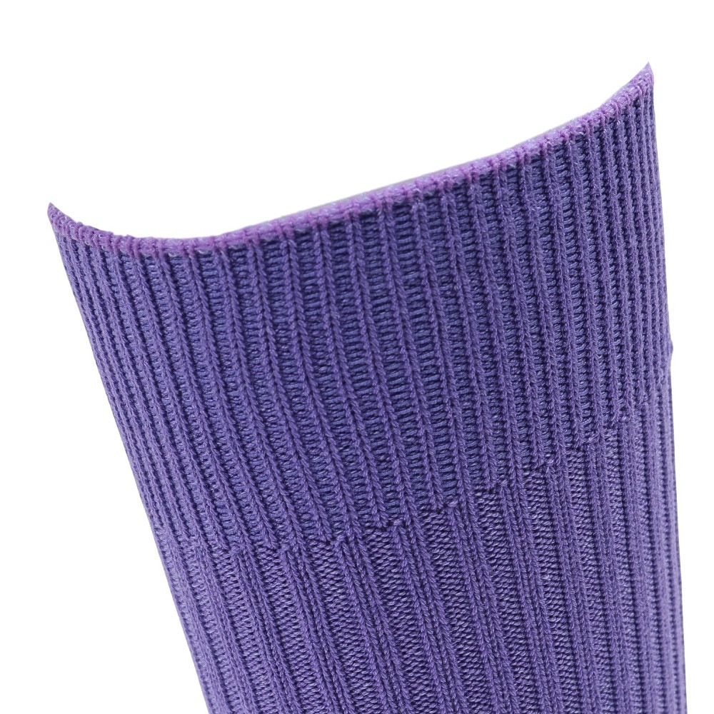 ヘルスニット（Healthknit）（メンズ）リブパイル ソックス 1足組 191-8004-50