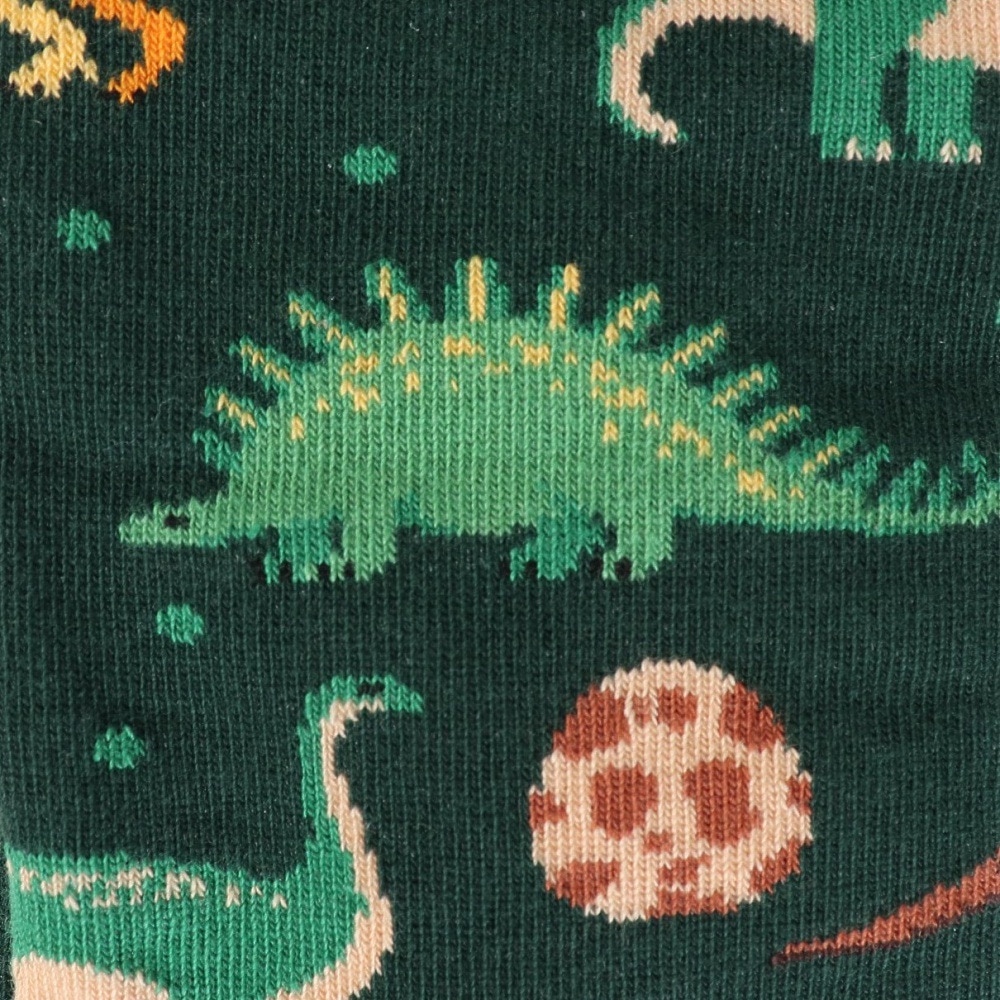 メニーモーニングス（MANY MORNINGS）（メンズ）レギュラーソックス 1足組 THE DINOSAURS