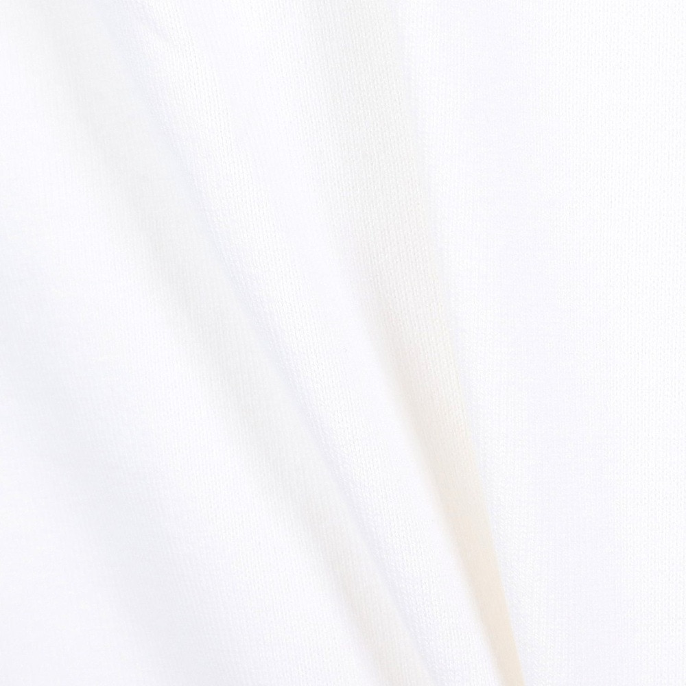 ヘインズ（Hanes）（メンズ）SHIRO クルーネックTシャツ 大きいサイズ HM1-X201 010X