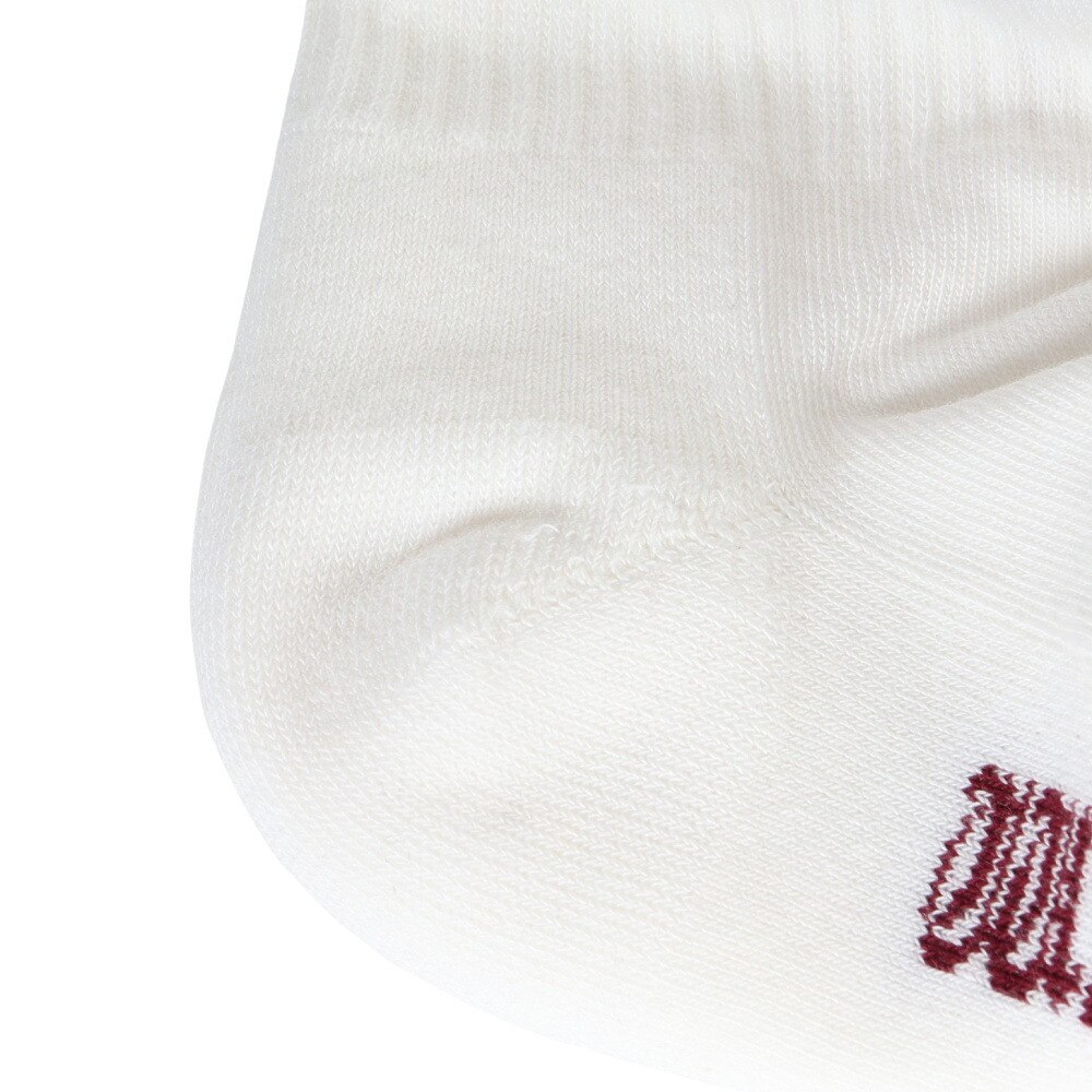WASTED PARIS（WASTED PARIS）（メンズ）ソックス SOCKS FATE 2322-07250-03105