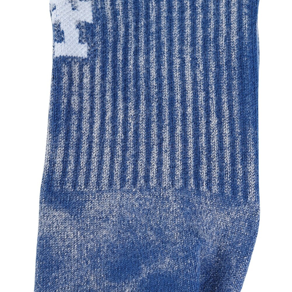スタンス（STANCE）（メンズ、レディース）FADE LA クルーソックス A556A24FLA BLU