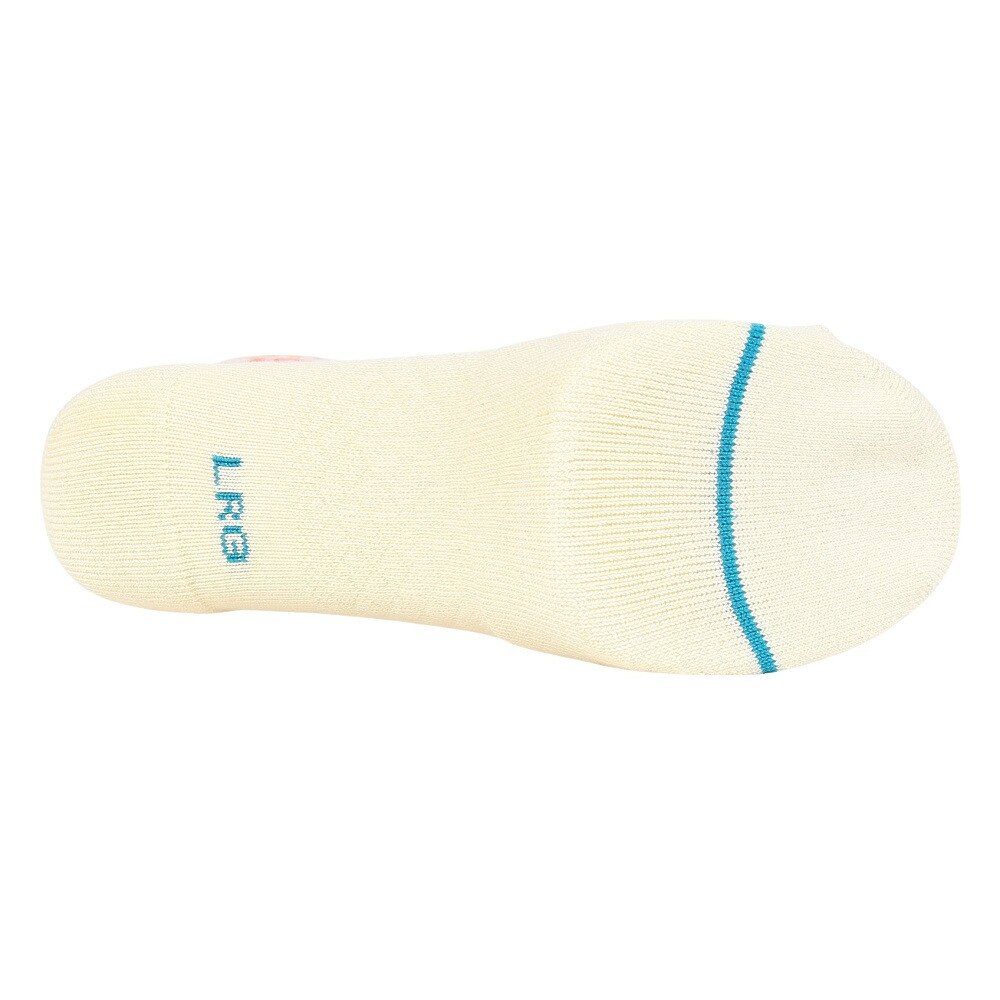 スタンス（STANCE）（メンズ、レディース）SUN DIAL クルーソックス A556C24SUN