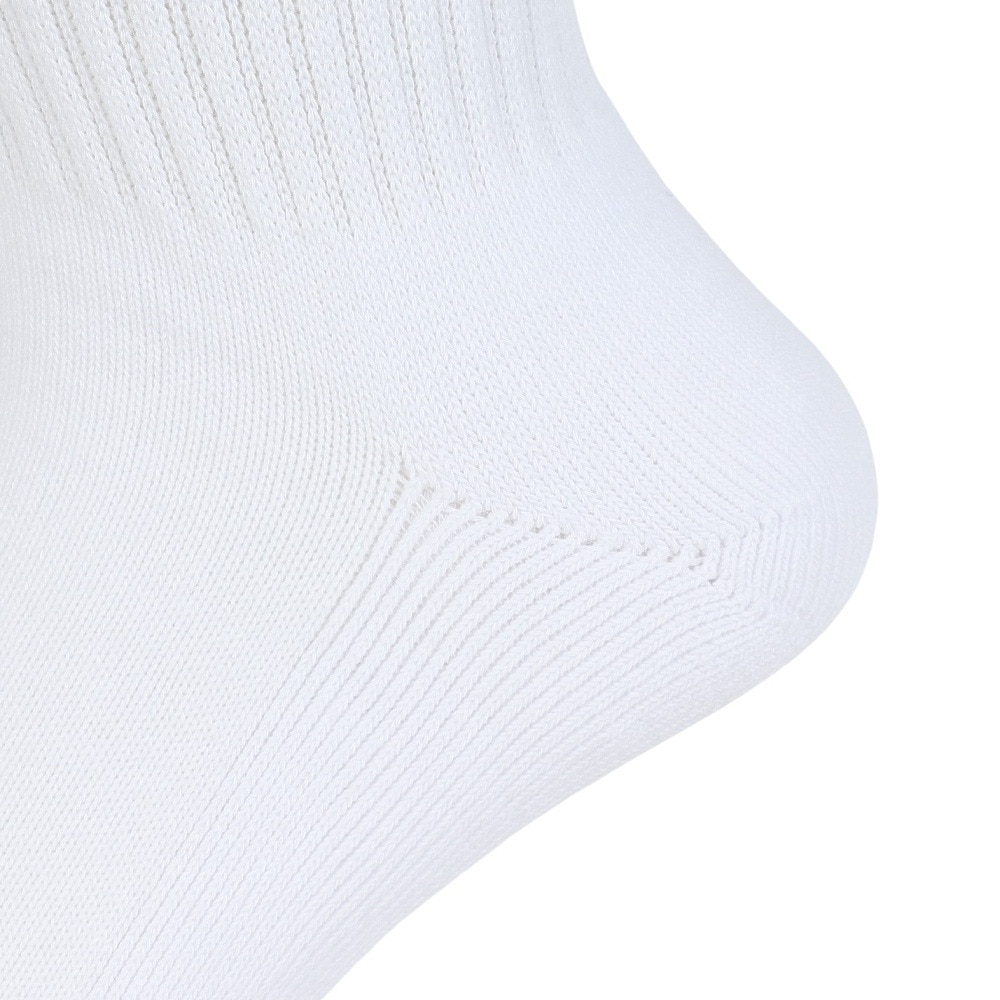 ヘインズ（Hanes）（メンズ）2足組 ビーフィーフルレングスソックス ハーフパイル HMSBW001 010