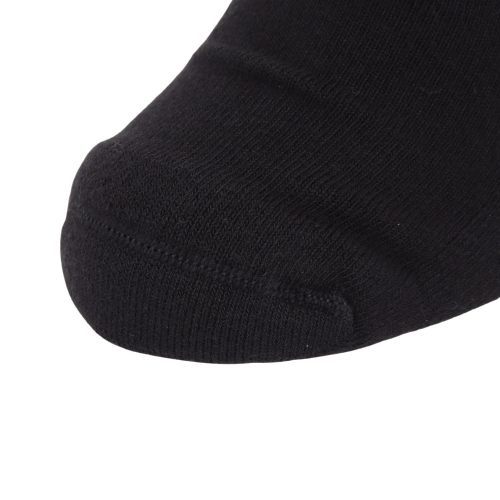 カーハート（CARHARTT）（メンズ、レディース）チェイスソックス I02942100FXX24FW
