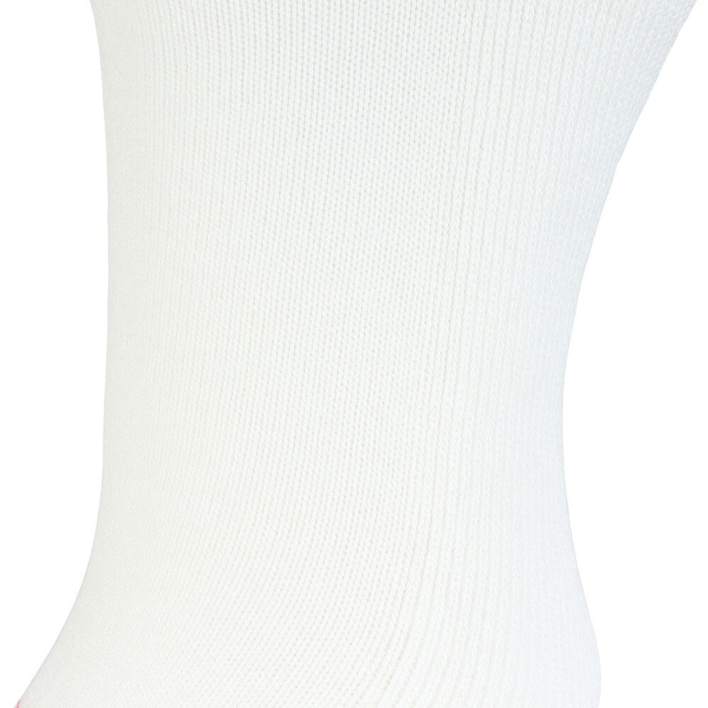 ヘインズ（Hanes）（メンズ）リラックスフィットリブソックス2P HMSBB001 010