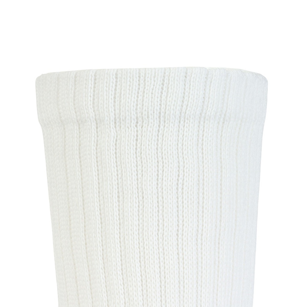 ヘインズ（Hanes）（メンズ）リラックスフィットリブソックス2P HMSBB001 010