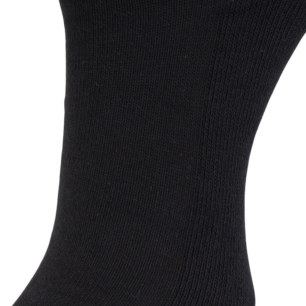 ヘインズ（Hanes）（メンズ）リラックスフィットリブソックス2P HMSBB001 090