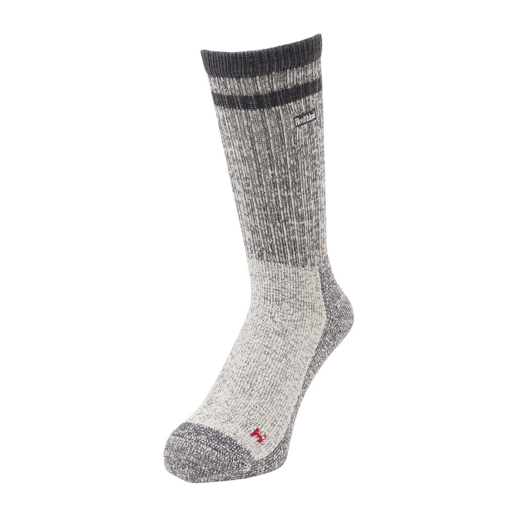 ヘルスニット（Healthknit）（メンズ）2本ライン ロゴ ソックス 2足組 191-3705