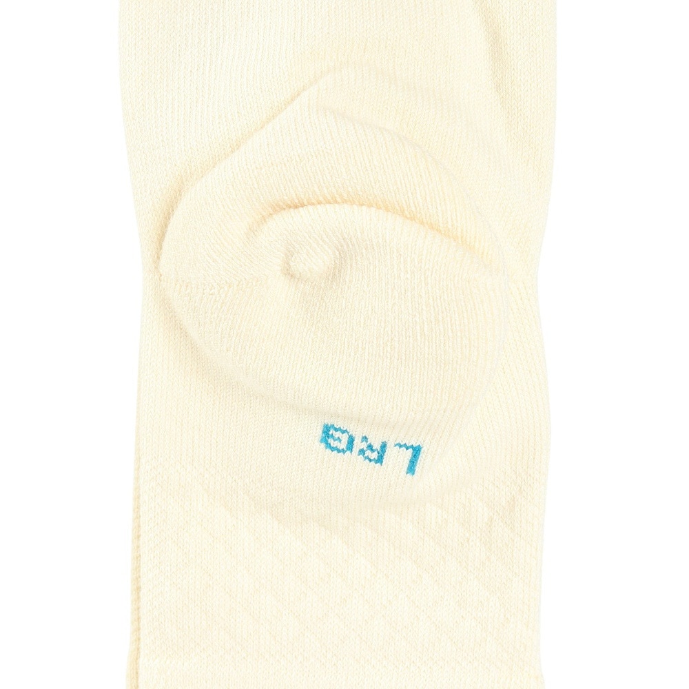 スタンス（STANCE）（メンズ）BOYD ST ソックス A556A20BOS BSG