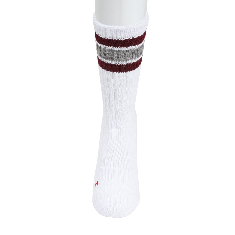 ヘルスニット（Healthknit）（メンズ）配色3本ラインクルー 3足組ソックス 191-3108