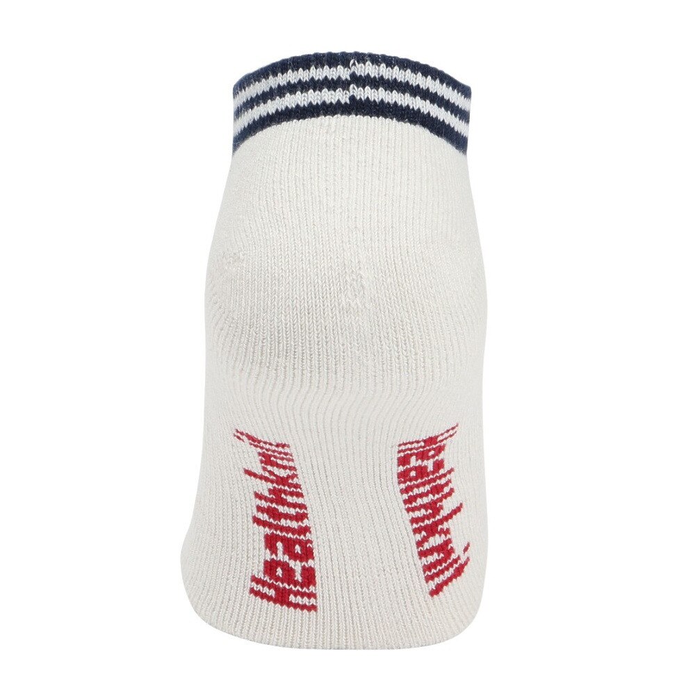 ヘルスニット（Healthknit）（メンズ）2本ライン 3足組ソックス 191-3702