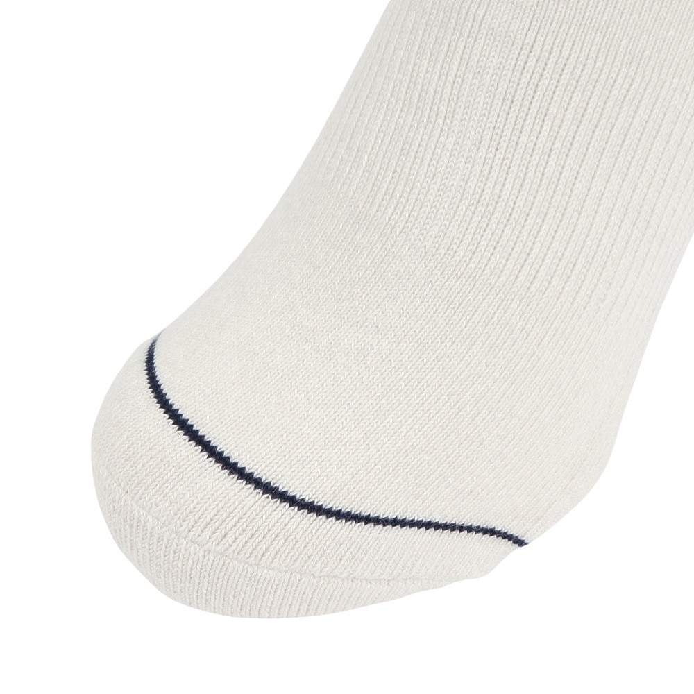 ヘルスニット（Healthknit）（メンズ）2本ライン 3足組ソックス 191-3702