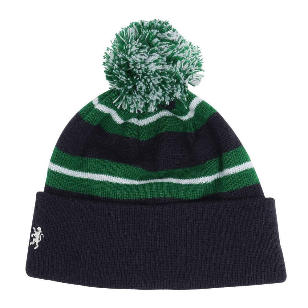 ジムフレックス（GYMPHLEX）（レディース）ニットウォッチキャップ GY-H0317 ACW NAVYxGREEN STRIP