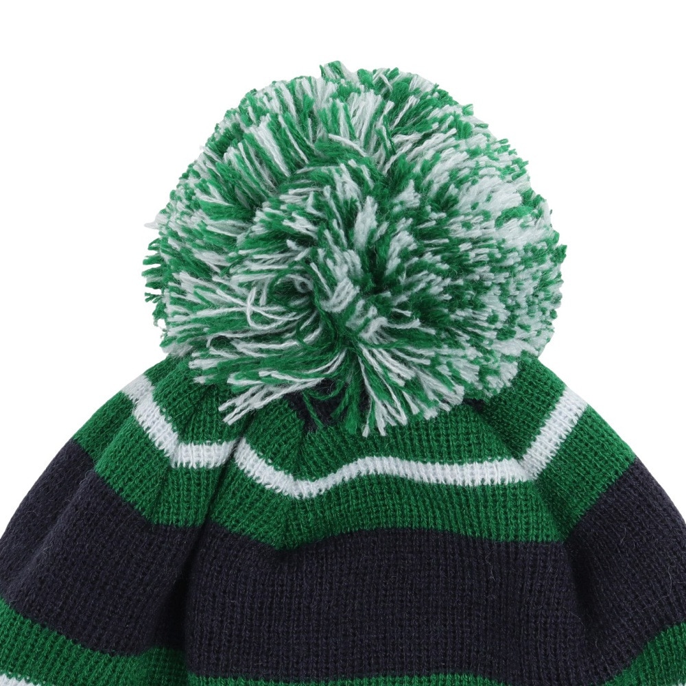 ジムフレックス（GYMPHLEX）（レディース）ニットウォッチキャップ GY-H0317 ACW NAVYxGREEN STRIP