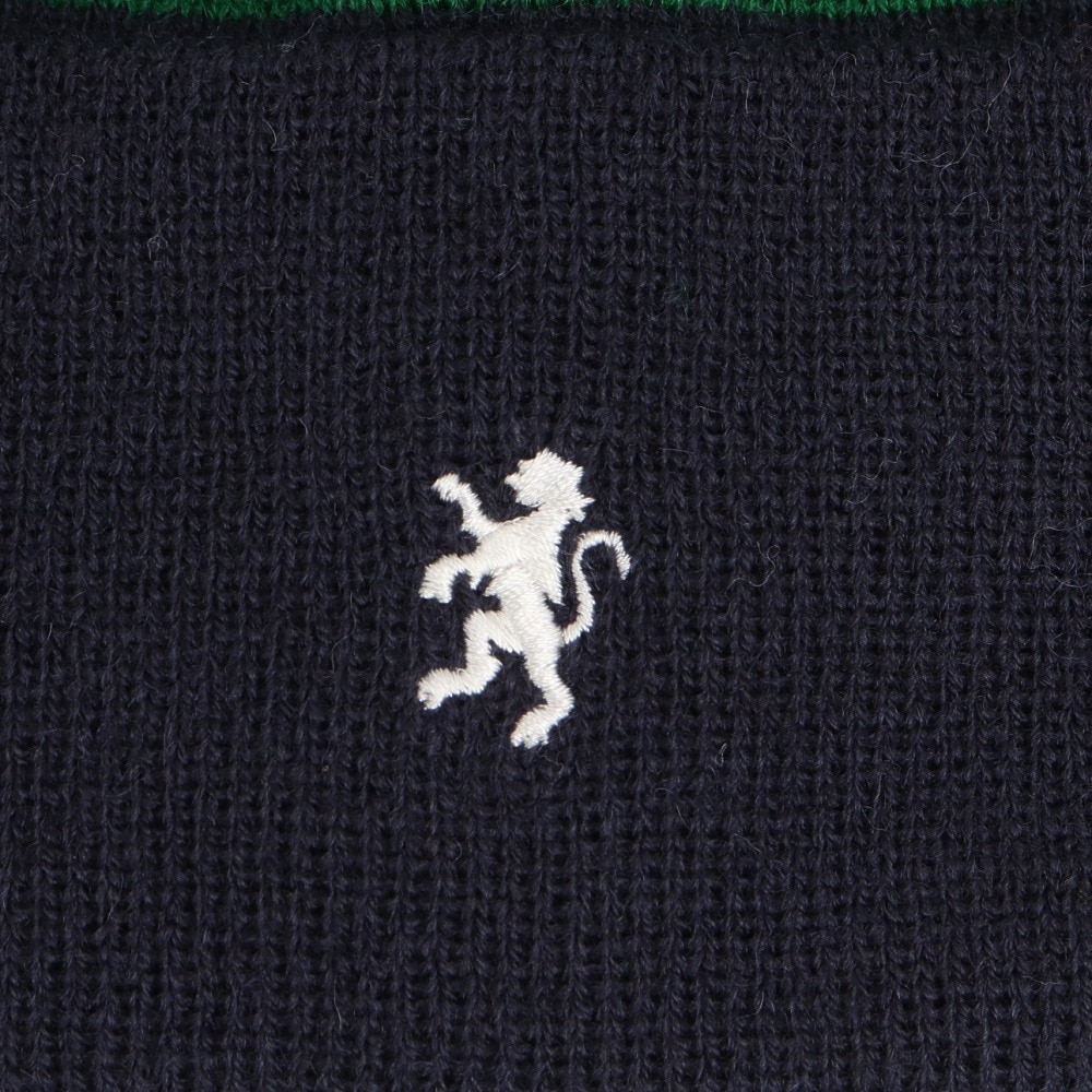 ジムフレックス（GYMPHLEX）（レディース）ニットウォッチキャップ GY-H0317 ACW NAVYxGREEN STRIP