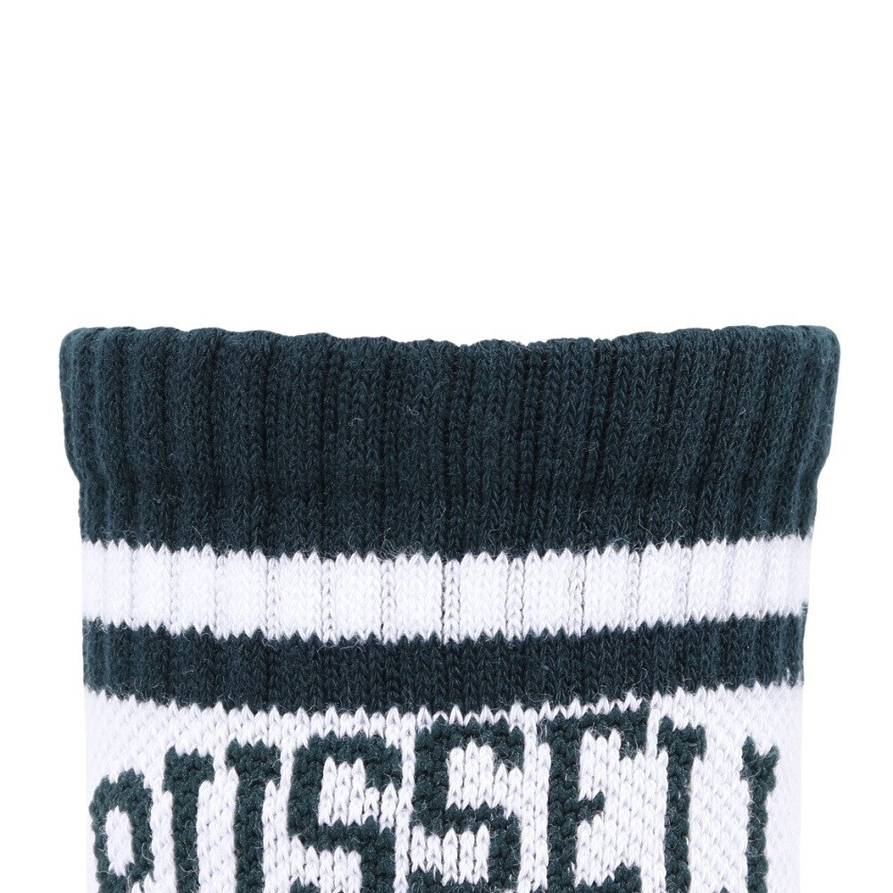 ラッセル（RUSSELL）（レディース）ロングラインリブソックス RBLZ24S0001 GRWH