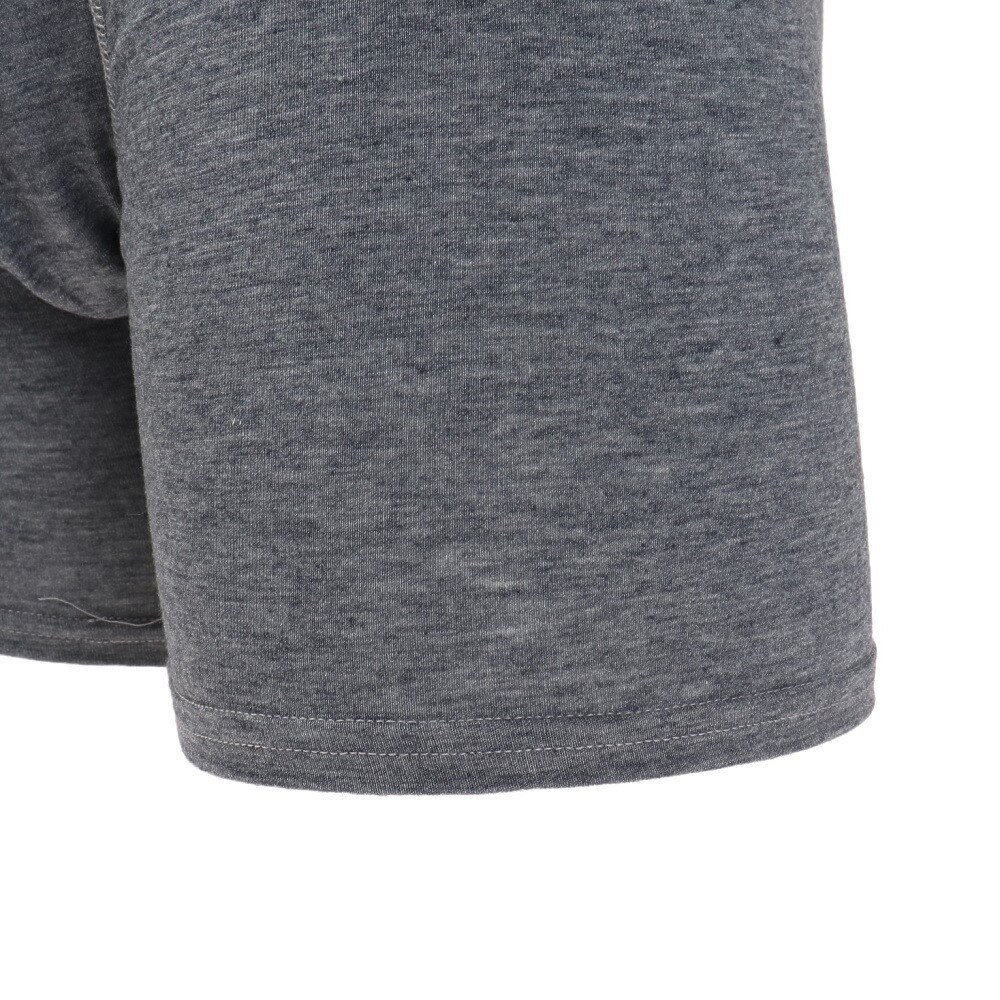 Hanes（メンズ）COMFORT FLEX FIT ボクサーブリーフ HM6EW101 040