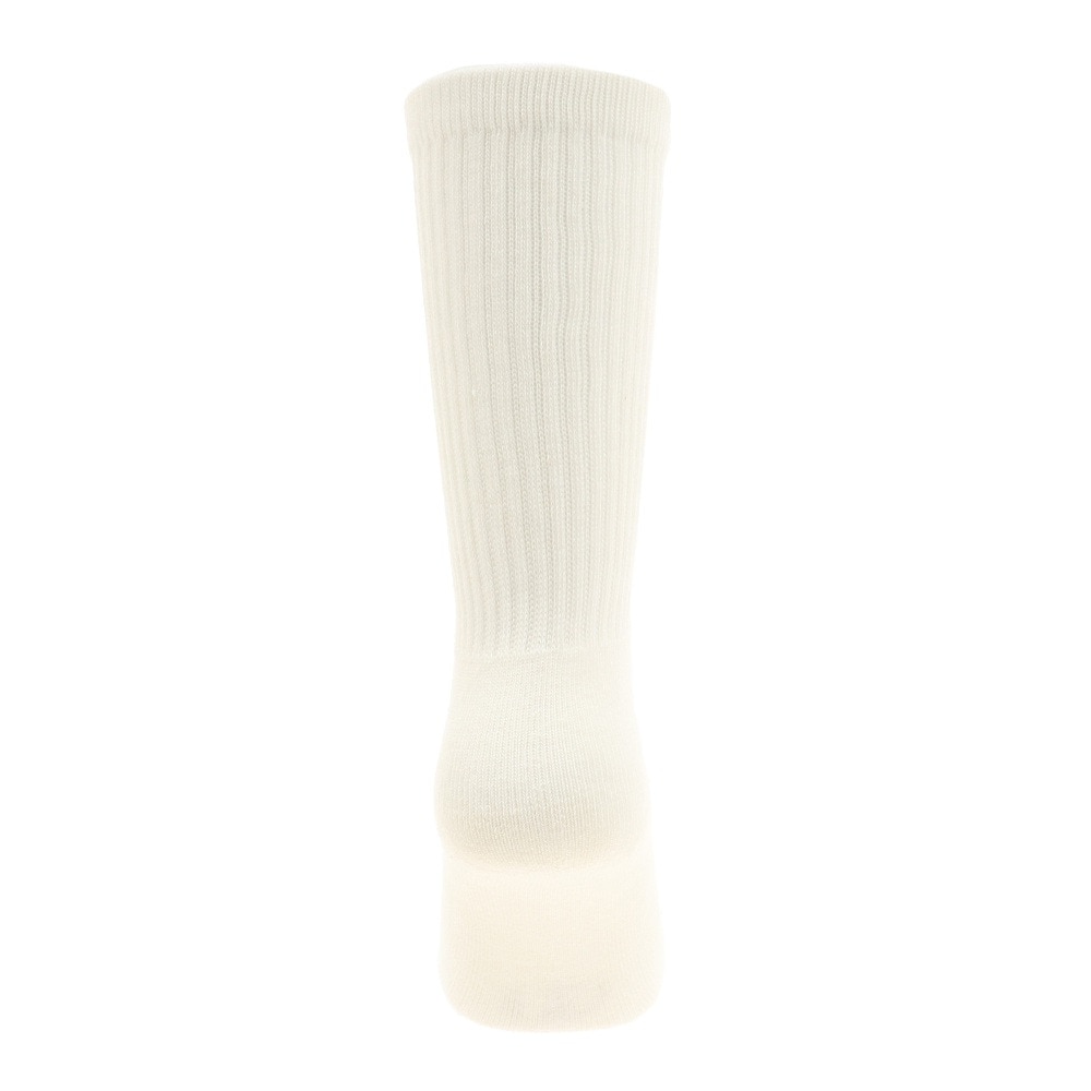ノーブランド（NO BRAND）（メンズ）パイル2足組 ソックス 894NN1OK2753OWHT