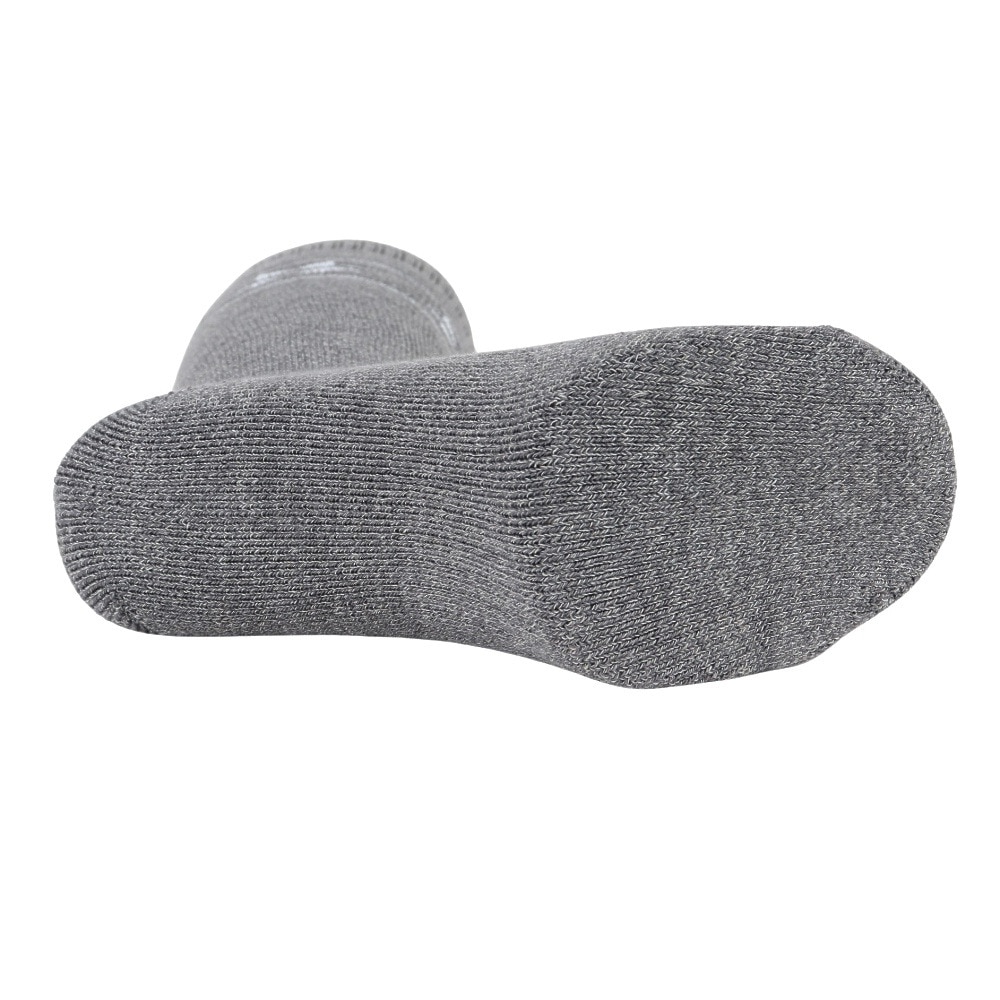 エアボーン（ARBN）（メンズ）ヒートクロス クルーソックス 雪 GRY/CGY 2足組 AB43AC1606 GRY25 防寒