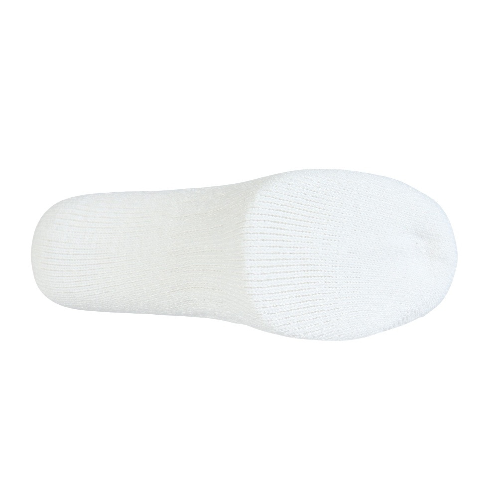 その他ブランド（OTHER BRAND）（メンズ）クルーライン ソックス 1足組 894CO5GSA0089 WHT