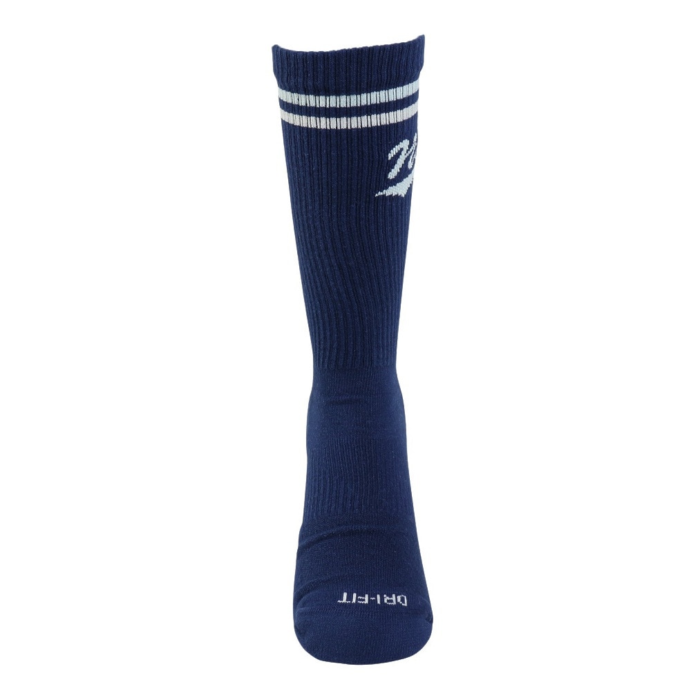 ナイキ（NIKE）（メンズ、レディース）靴下 ED PLS クルーソックス 3足組 LFESTL 144 21-27センチ HJ9336-902 新調 衣替え クルー丈 DRI-FIT 速乾 