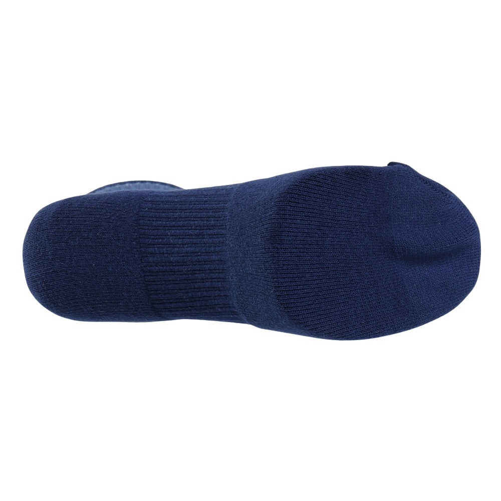 ナイキ（NIKE）（メンズ、レディース）靴下 ED PLS クルーソックス 3足組 LFESTL 144 21-27センチ HJ9336-902 新調 衣替え クルー丈 DRI-FIT 速乾 