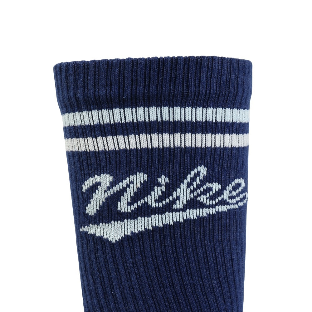 ナイキ（NIKE）（メンズ、レディース）靴下 ED PLS クルーソックス 3足組 LFESTL 144 21-27センチ HJ9336-902 新調 衣替え クルー丈 DRI-FIT 速乾 