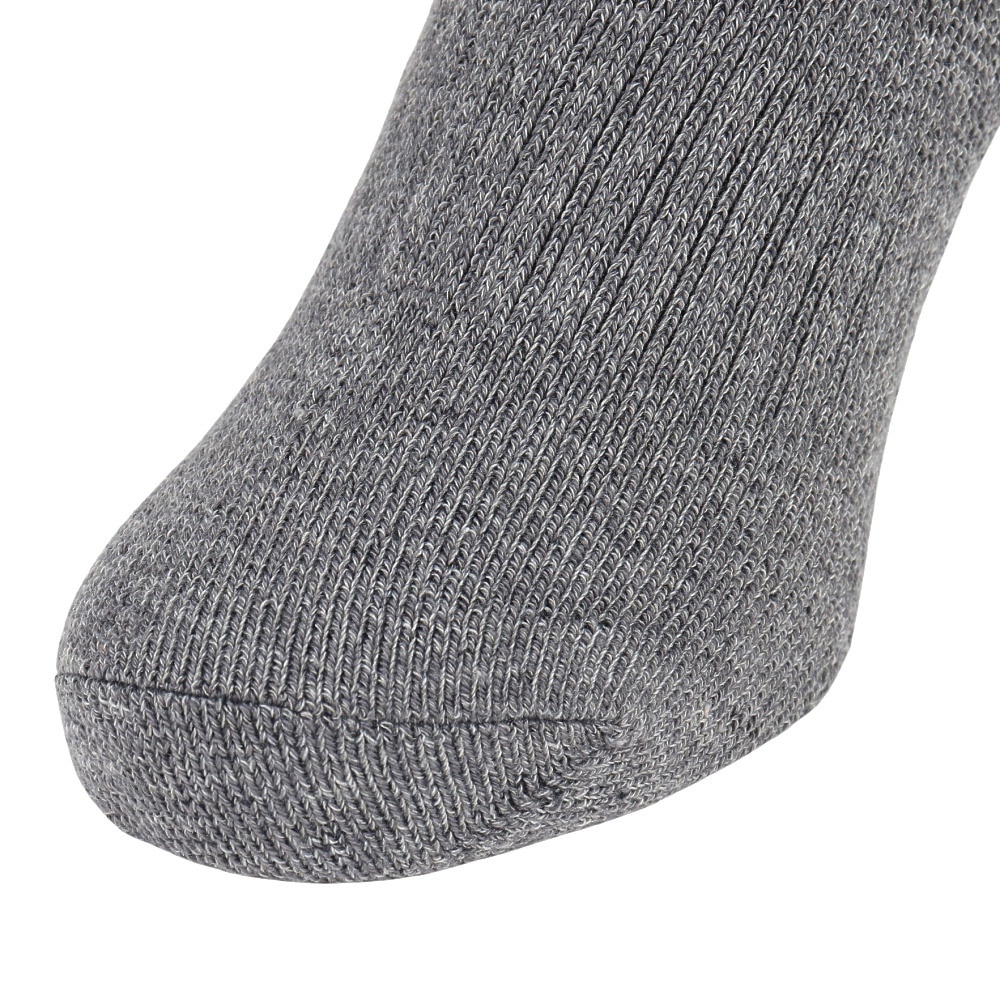 エアボーン（ARBN）（レディース）ヒートクロス クルーソックス 雪 GRY/CGY 2足組 AB43AC1599 GRY22 防寒