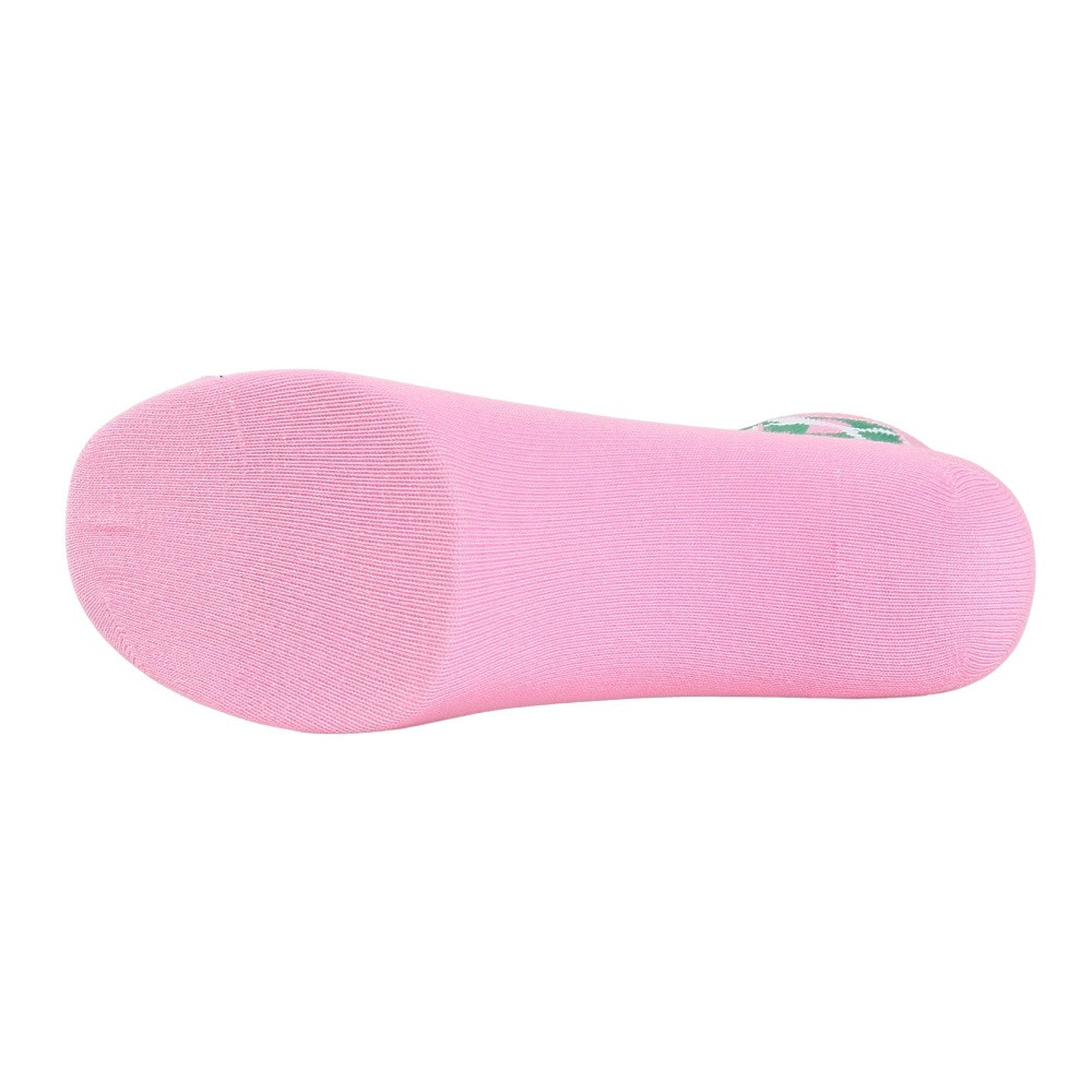 プーマ（PUMA）（レディース）Pマーク ST ソックス 2足組 3563096-PK