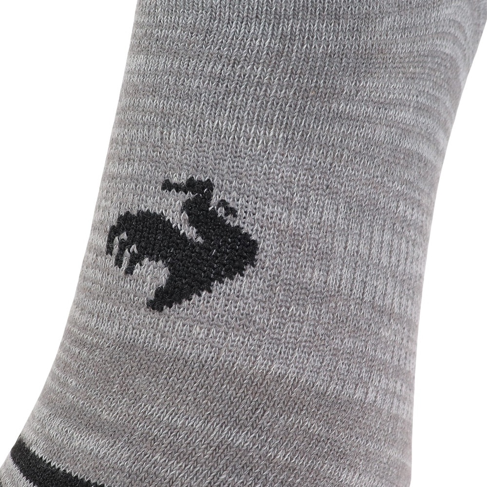 ルコックスポルティフ（lecoqsportif）（レディース）3Pスニーカーソックス QMAVJB21 IBG