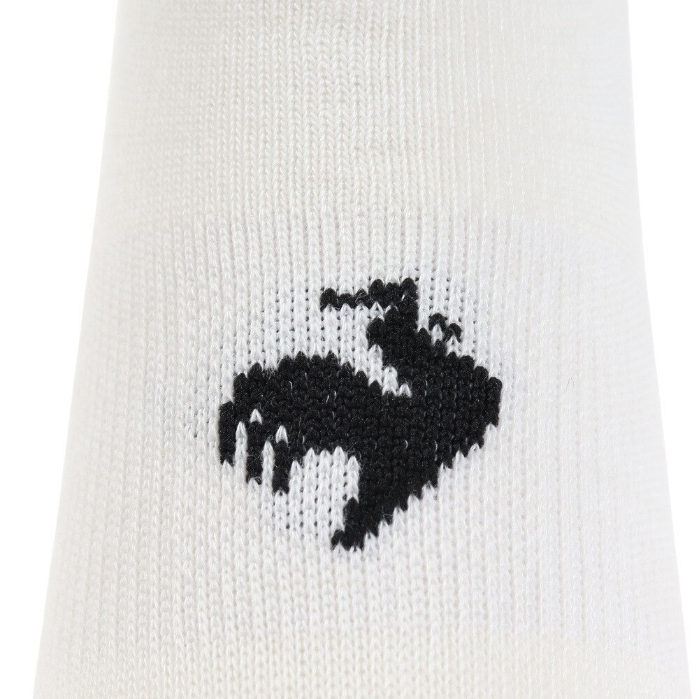 ルコックスポルティフ（lecoqsportif）（レディース）3Pスニーカーソックス QMAVJB21 IRN