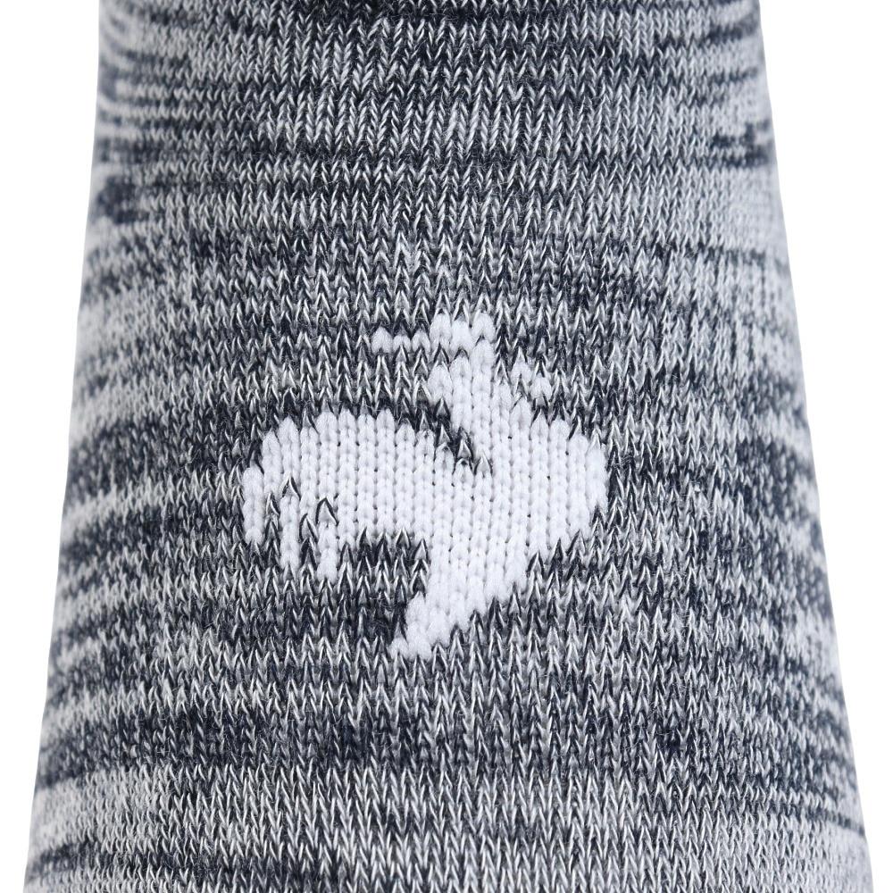 ルコックスポルティフ（lecoqsportif）（レディース）3Pスニーカーソックス QMAVJB21 IRN