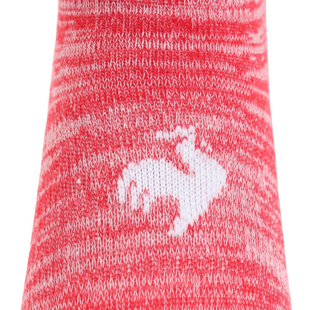 ルコックスポルティフ（lecoqsportif）（レディース）3Pスニーカーソックス QMAVJB21 IRN
