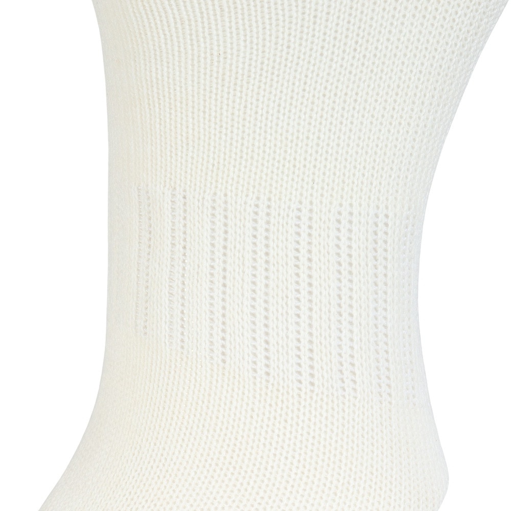 クー（Coo.）（レディース）靴下 アンクル丈ソックス 3足組 NVYPNKLGN 22-25センチ 895CO5GSA0045 NVY ラインソックス 抗菌 防臭 シンプル カジュアル 新調 