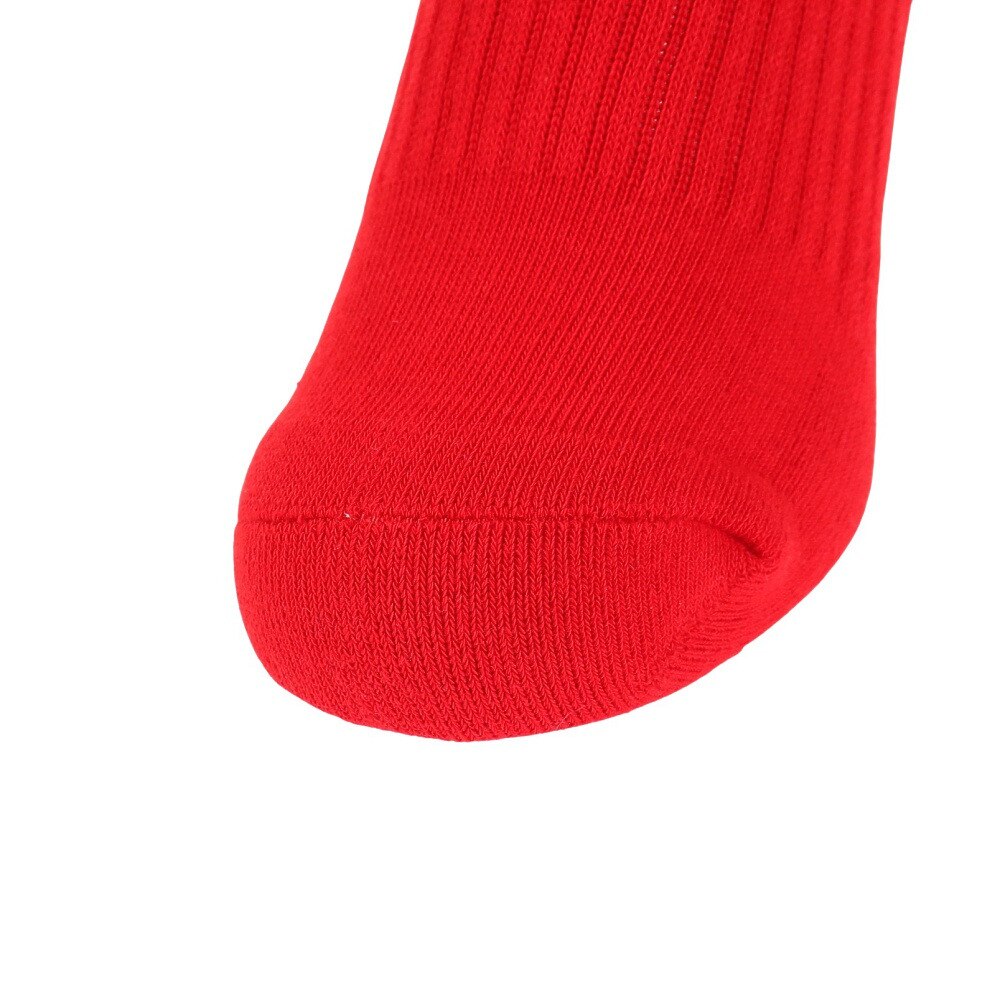 ポロ ラルフローレン（Polo Ralph Lauren）（レディース）ソックス 3足組 3246602-05