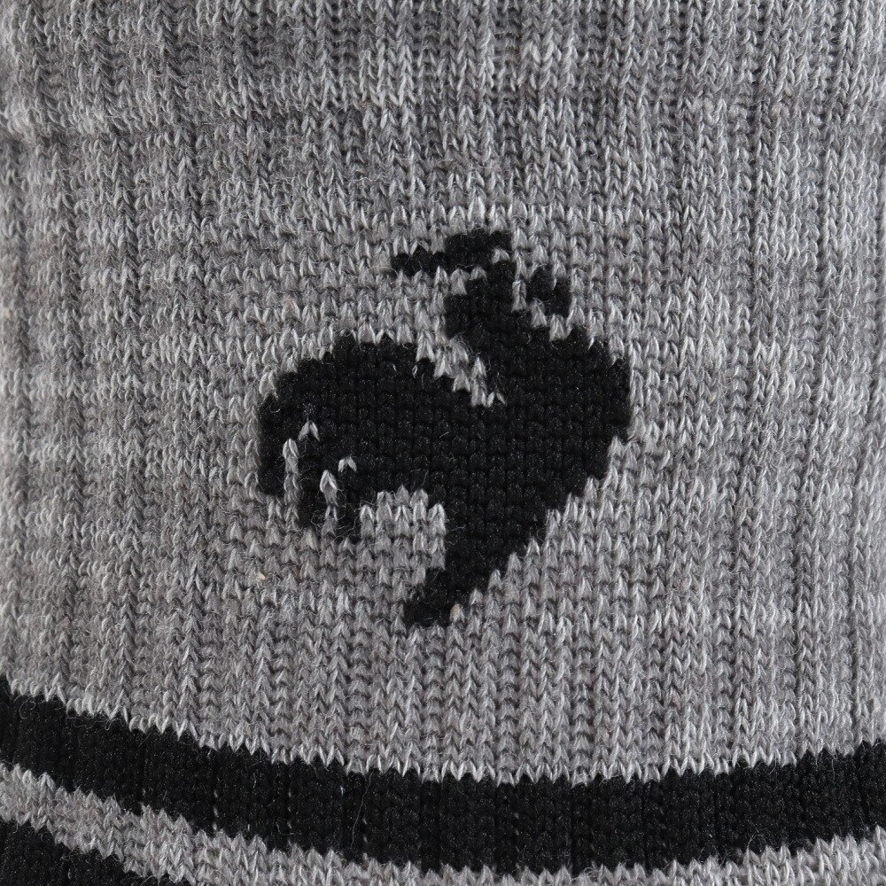 ルコックスポルティフ（lecoqsportif）（レディース）3Pショートソックス QMAVJB20 IBG