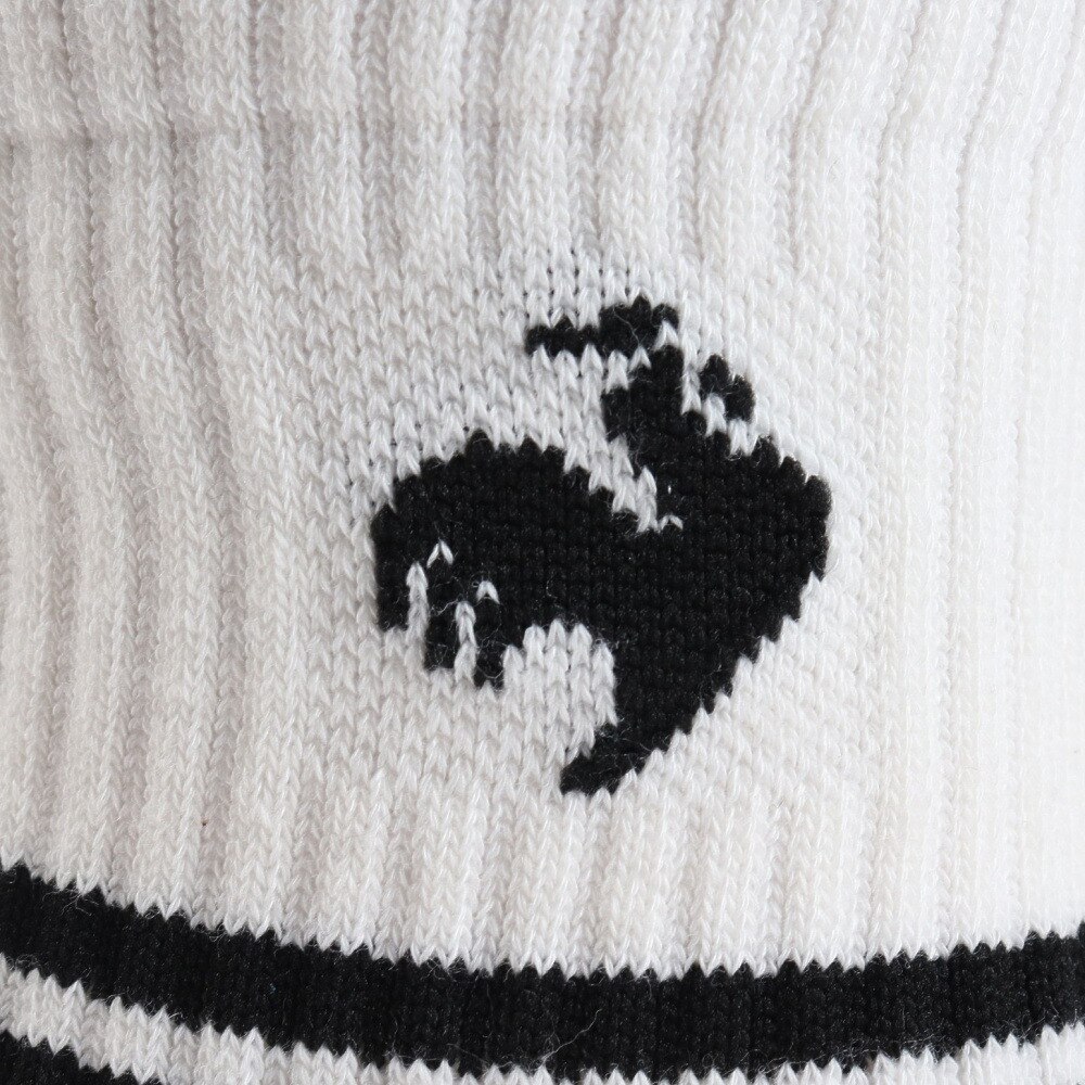 ルコックスポルティフ（lecoqsportif）（レディース）3Pショートソックス QMAVJB20 IBG