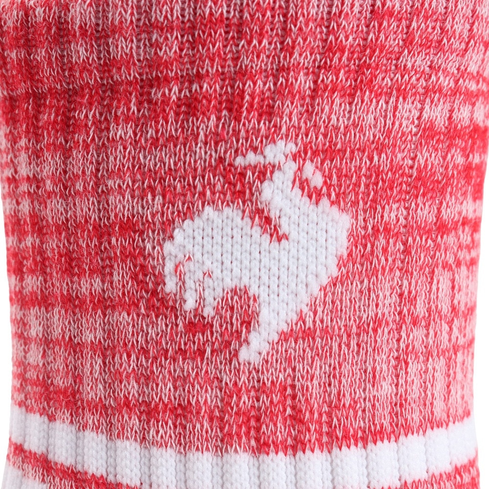 ルコックスポルティフ（lecoqsportif）（レディース）3Pショートソックス QMAVJB20 IRN